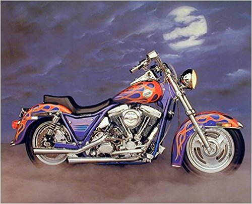 Amazon.com: 1986 FXR Harley Davidson Vintage Motorcycle Home Art